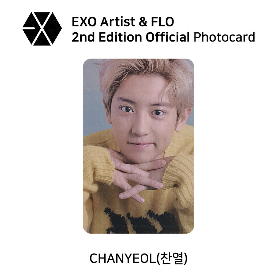 EXO - Artist & FLO membership Official Photocard Version 2 | eBay