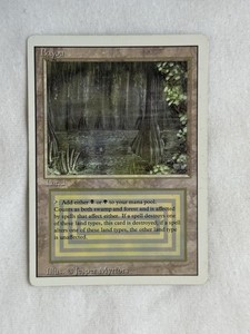 MTG』デュアルランド bayou Bayou》[2ED] 土地R | 日本最大級 MTG通販