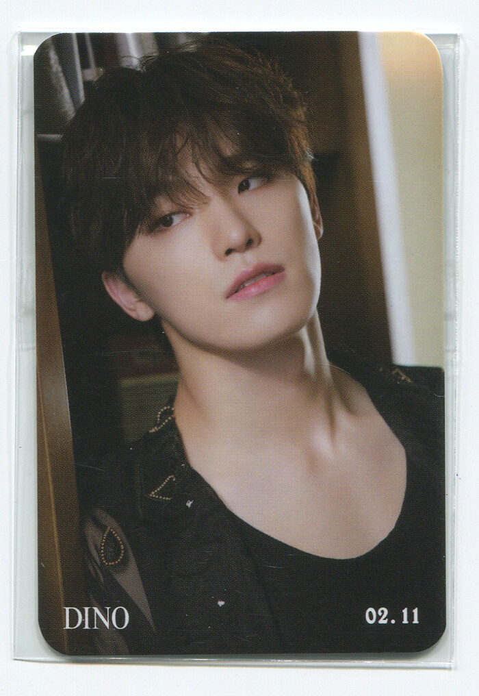 メイプルストーリー コレクティブフォトカード ルミナス