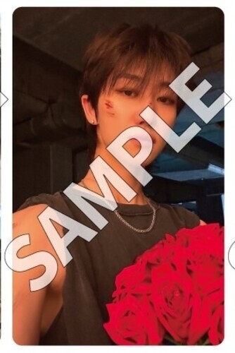 seventeen 名古屋 愛知 来場者限定 spill the feels seventeen 名古屋