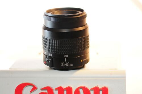 Canon EOS Kiss X10+Canon EF 35-80㎜ CANON EOS Kiss X10 Standard