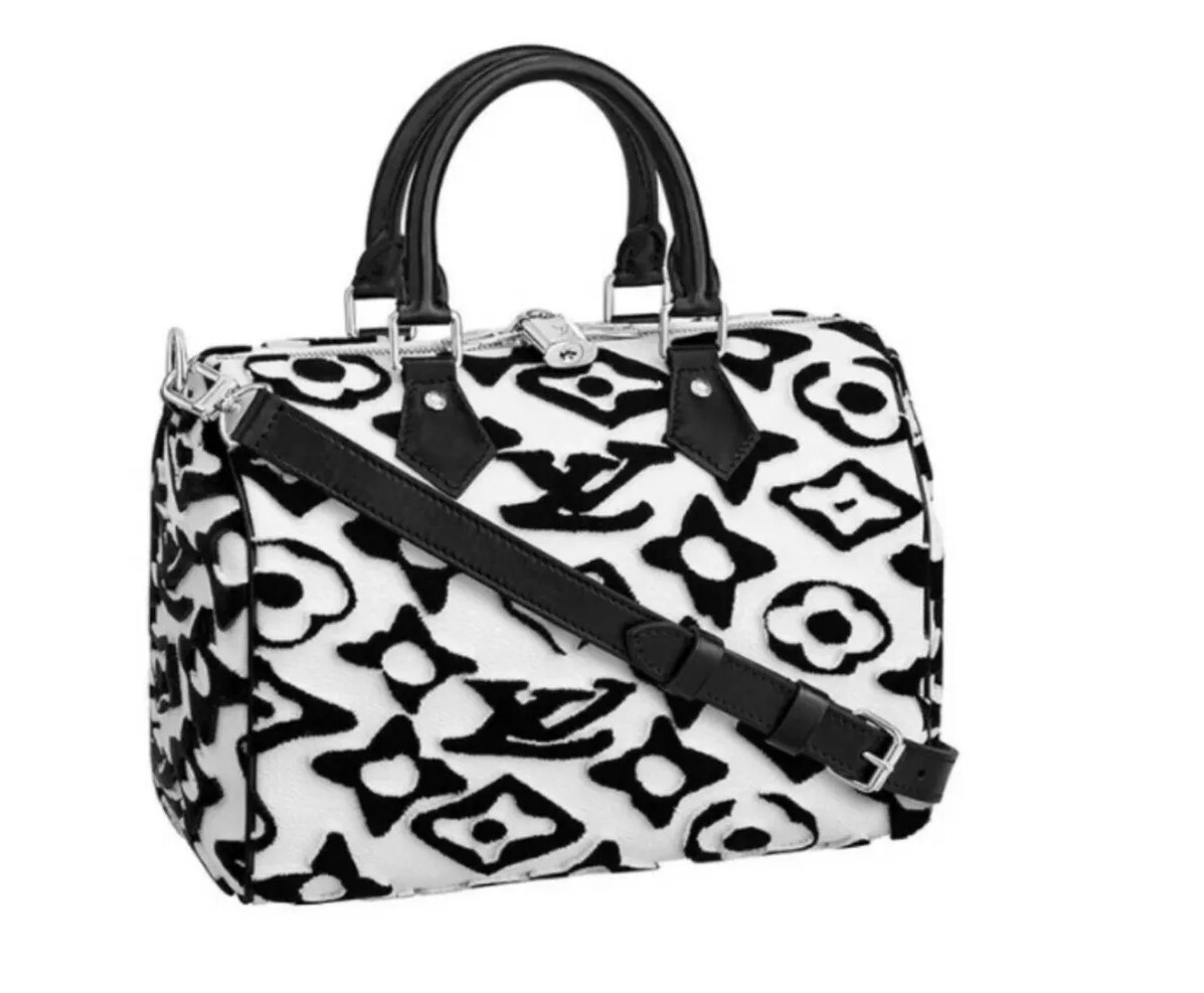 AUTHENTIC NEW SPEEDY 25 BAG URS FISCHER ED, Louis Vuitton LV X UF