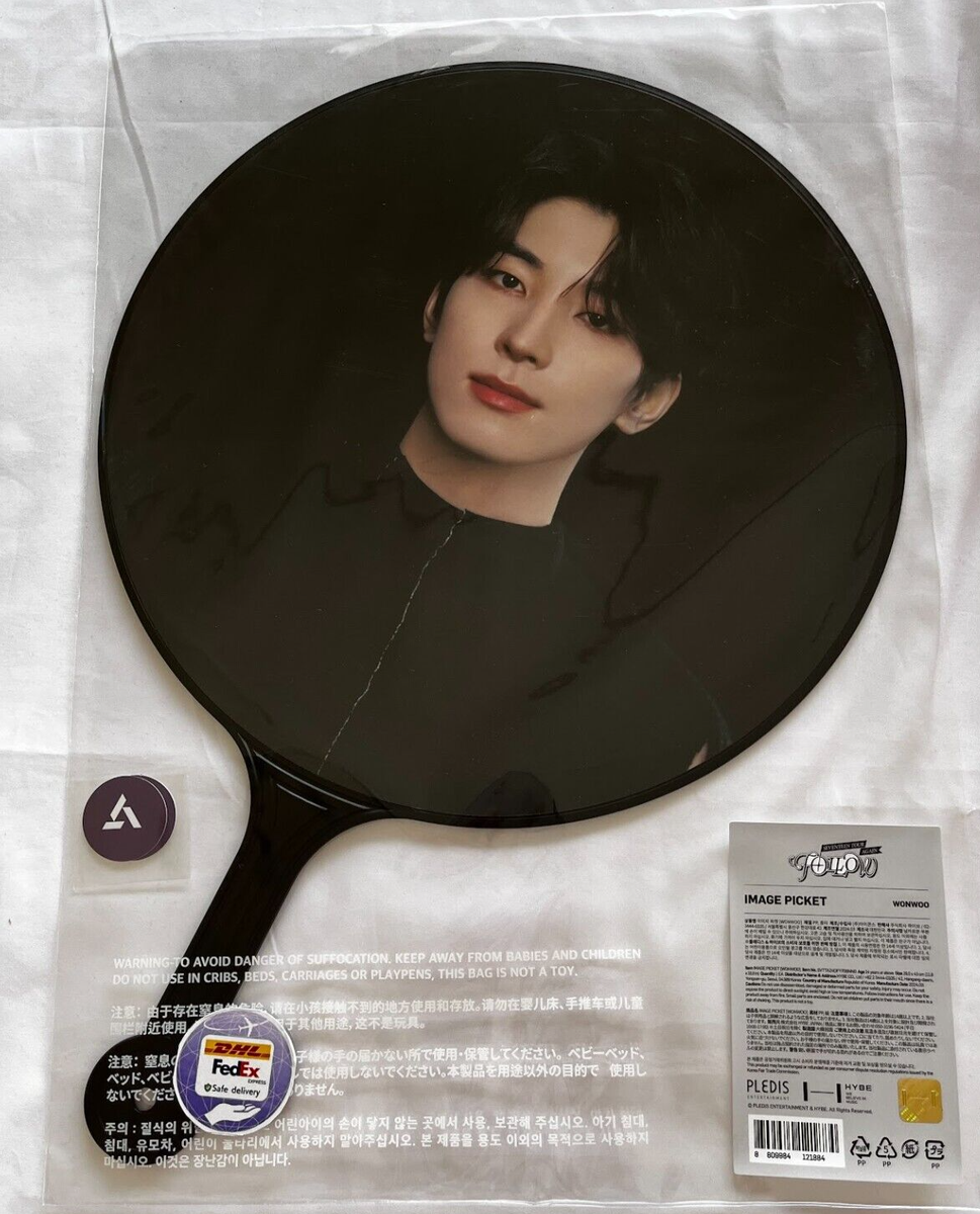 SEVENTEEN セブチ be the sun うちわ ウォヌ WONWOO SEVENTEEN セブチ