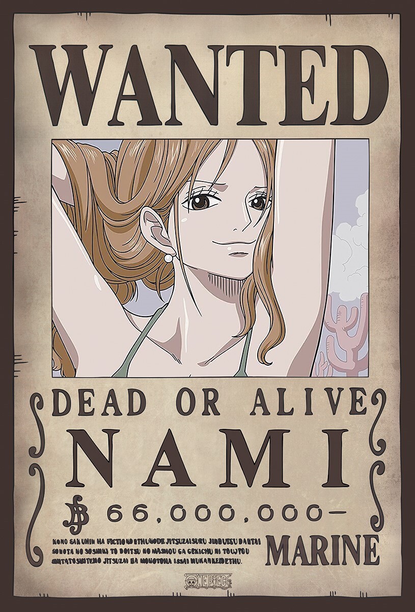 WANTED ONE PIECE NAMI 16X20 POSTER JAPAN TELEVISION SERIES ANIME