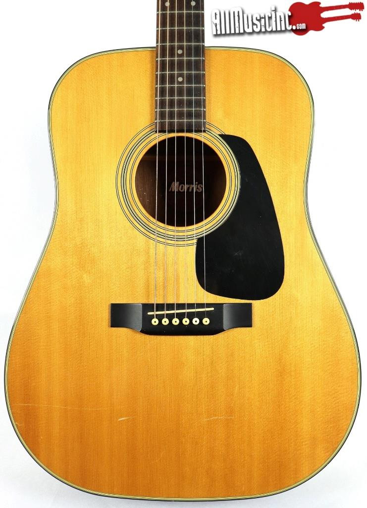 Morris MD-502 アコースティクギター 【公式通販】