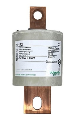 50172, Schneider Electric, cartridge Cardew - type C - 660 V | eBay