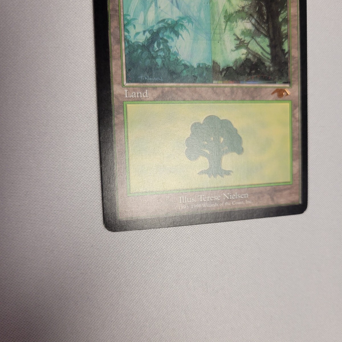 MTG GuruLand（グルランド） Forest 1枚 MTG GuruLand（グルランド