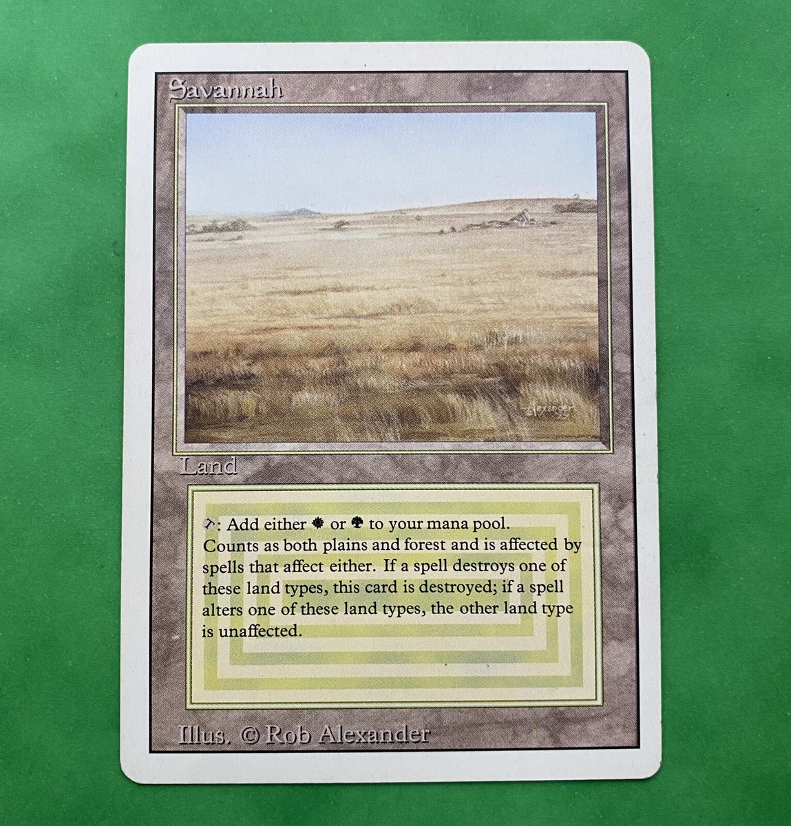 MTG Savannah 3ED 英語版 デュアルランド MTG】Savannah 3ED 英語版