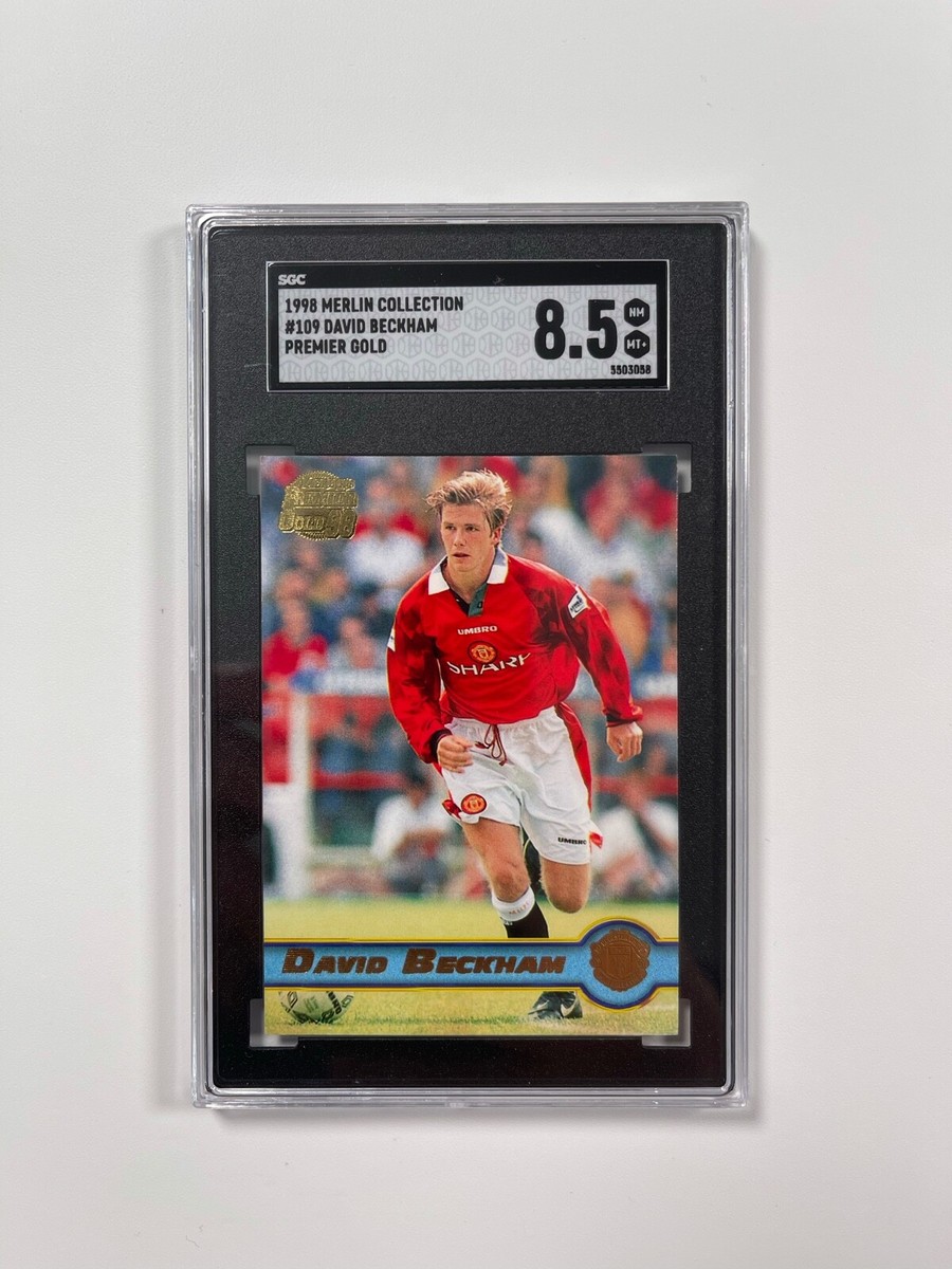 Merlin's Premier Gold Beckhamベッカム