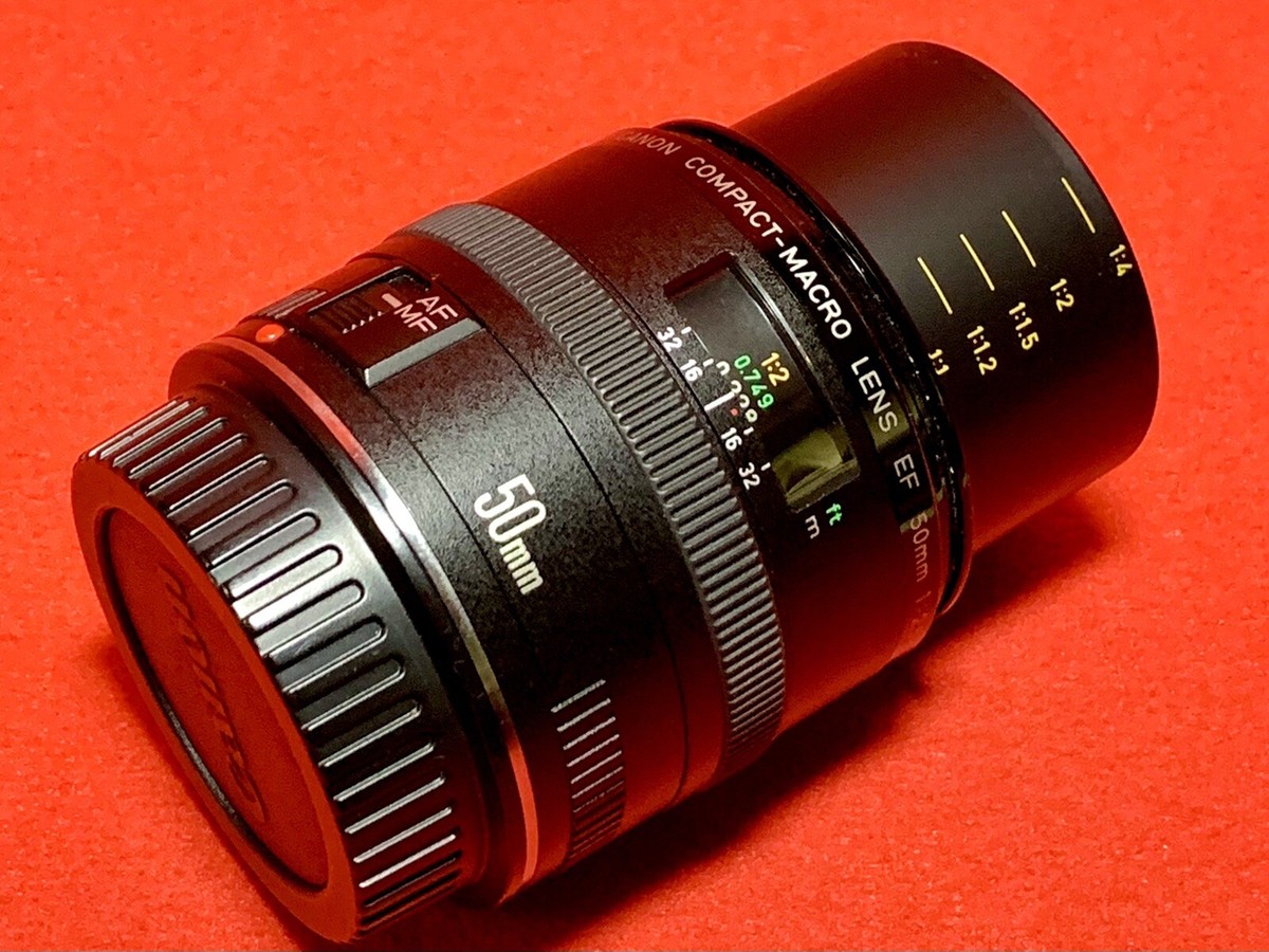 CANON EF50mm F2.5 コンパクトマクロで撮影された写真 (レビュー