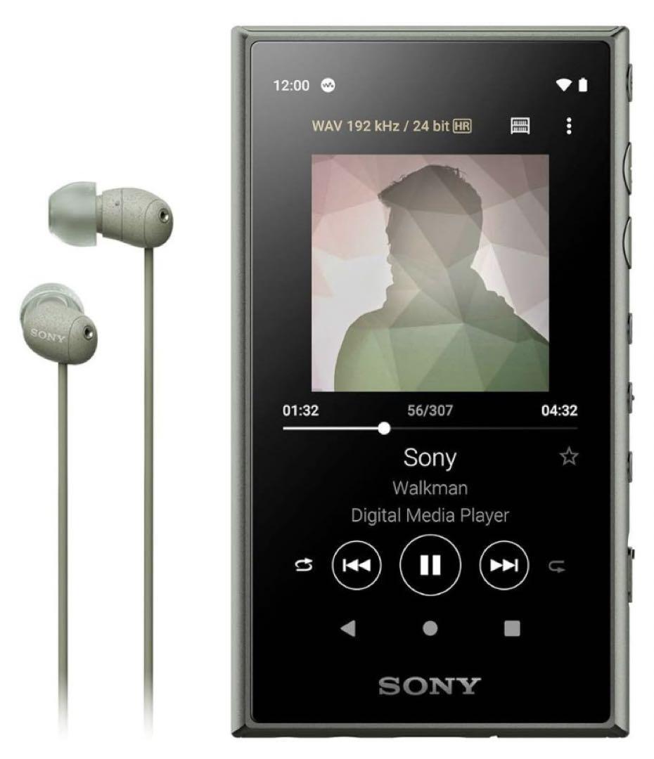 ポータブルプレーヤー SONY Walkman NW-A100 ポータブルプレーヤー