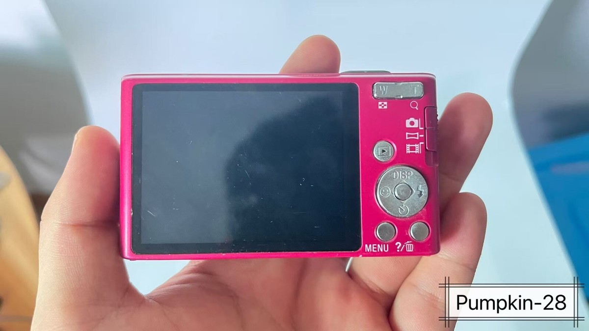 Sony Cyber-shot DSC-W730 16.1MP Digital Camera - Blue for sale