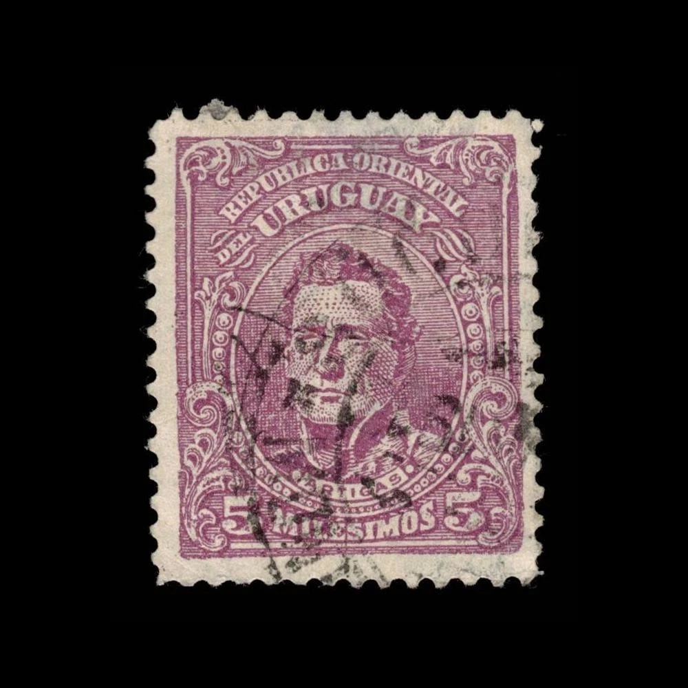 標本 Uruguay Thronistes rouxi 31mm Mother of God