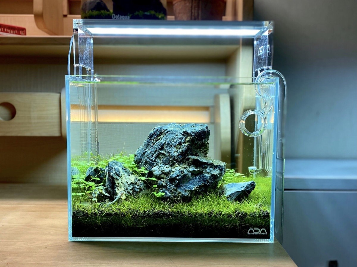 ADA AQUASKY G キューブガーデン 36x22x26 セット マット付 ADA