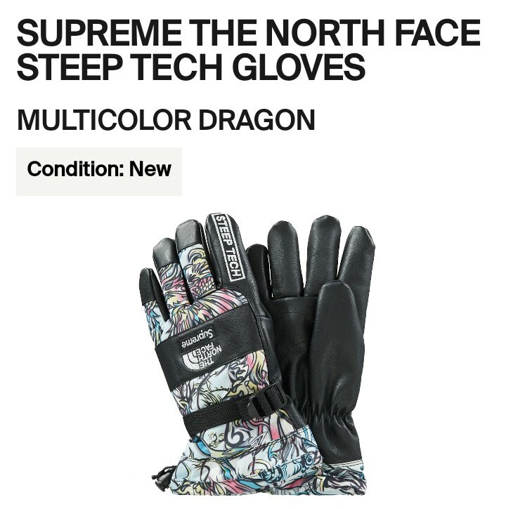 Supreme x The North Face Winter Glove