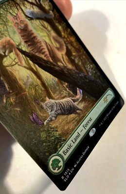 MTG Forest *FOIL* Secret Lair Drop Raining Cats and Dogs 1515 NM