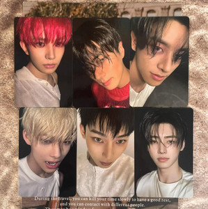 ENHYPEN SHOPEE kpopmerch 70枚 ENHYPEN SHOPEE kpopmerch 70枚 ENHYPEN