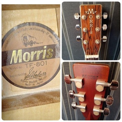 MORRIS TF-801 アコースティックギター Morris TF-801 Vintage