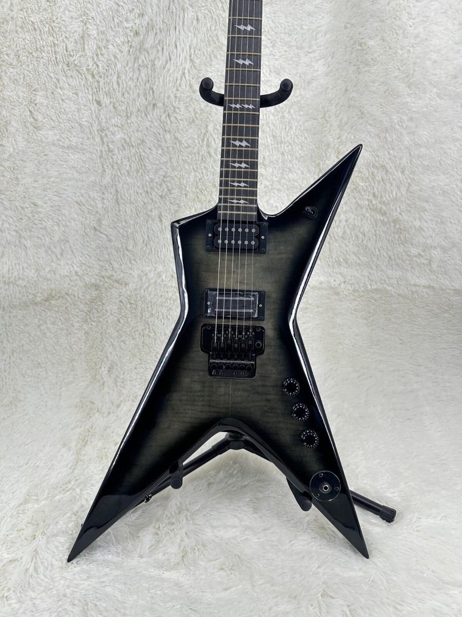 Washburn Dimebag Darrell Signature Model Electric Guitar Black