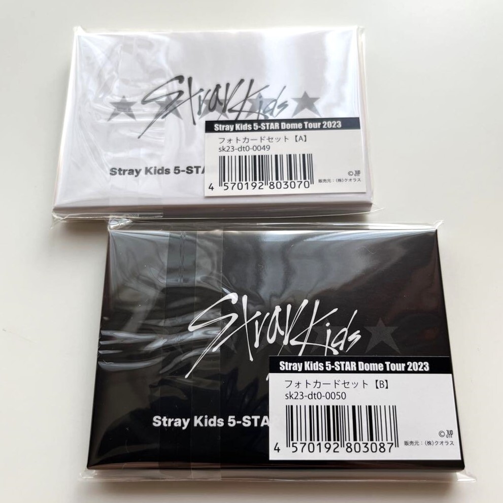 StrayKids 5-STAR Dome Tour 直筆サイン入りミニポスター StrayKids 5