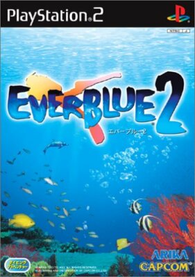 USED PS2 PlayStation 2 Ever Blue 2 55672 JAPAN IMPORT | eBay