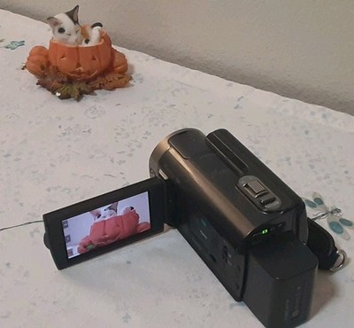 Sony HDR-XR350 Handycam 7.1 Mega Pixels with Case AC Adapter