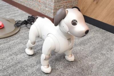 Sony aibo ERS-1000 アイボリーホワイト SONY aibo ERS-1000 [Ivory