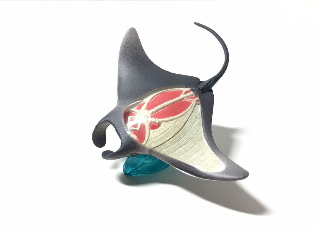 □激レア AERO MANTA RAY JAPAN CUP 2014 限定版 □激レア AERO MANTA