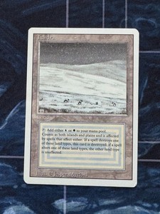 マジック：ザ・ギャザリング Tundra 3ED Revised MTG Tundra① Tundra