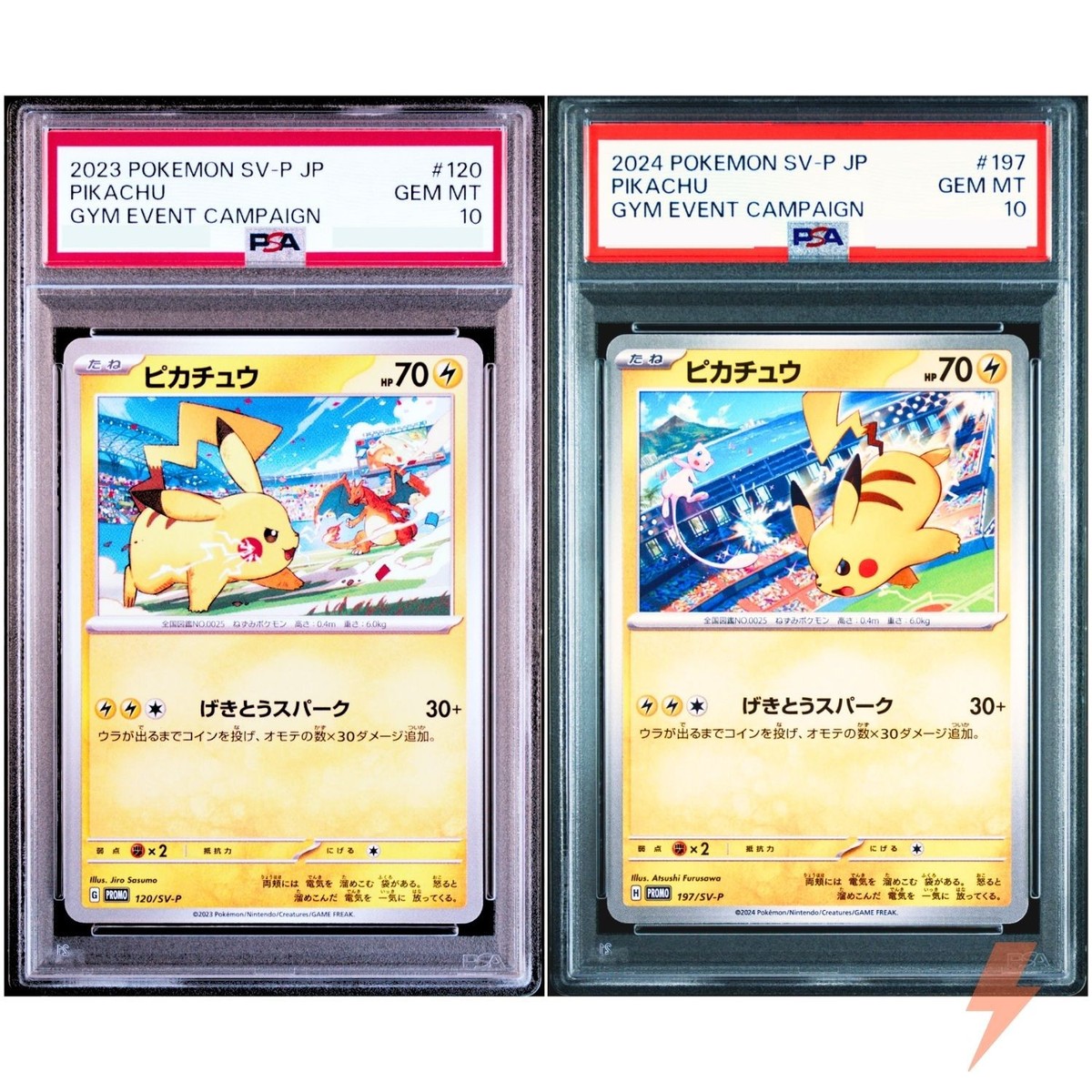 2023 ピカチュウ PSA10 GYMイベントカード PSA 10 Pikachu Gym Promo