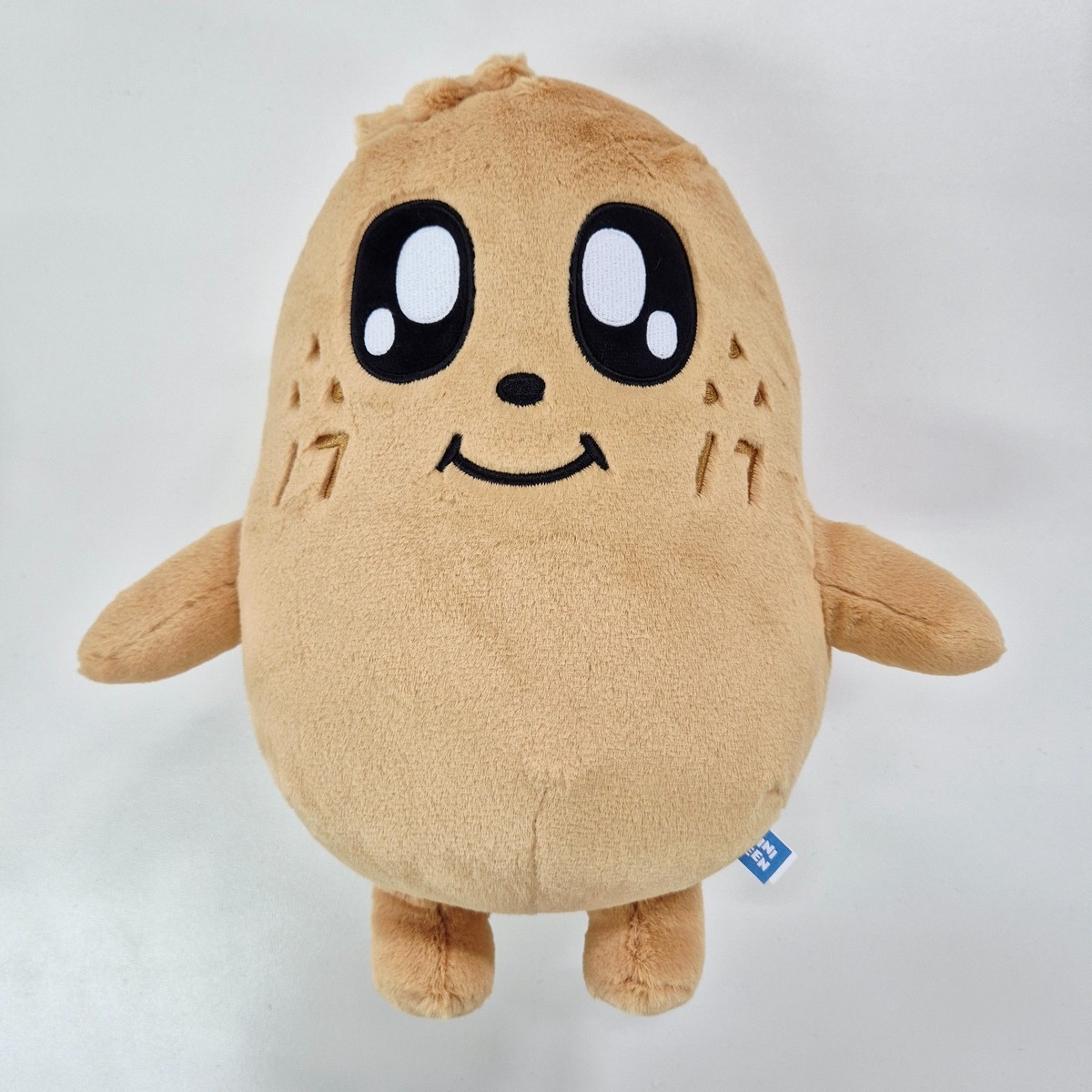 IN STOCK] SEVENTEEN Plush Toy MINITEEN HOUSE PARTY POP-UP OFFICIAL