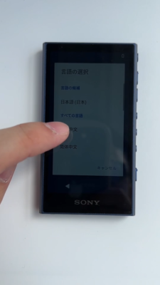 SONY NW-A306 Blue WALKMAN 32GB Hi-Res Audio Player English