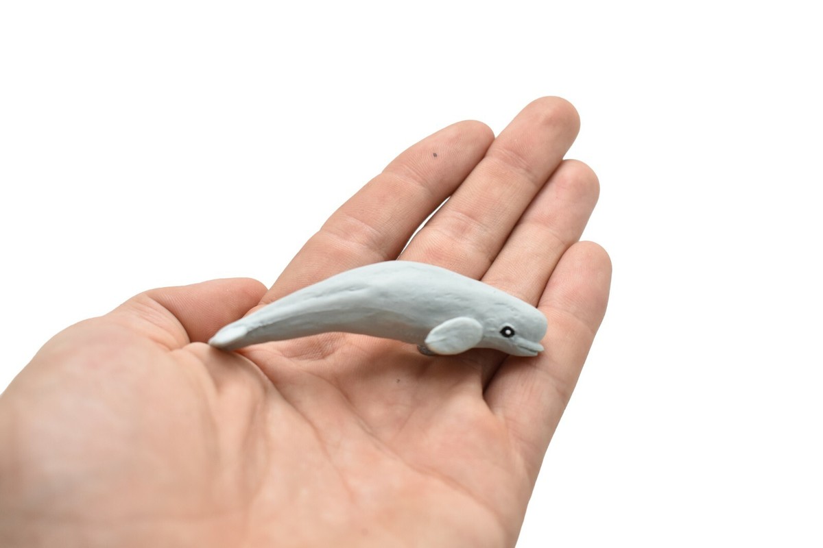 Beluga Whale Plastic Replica 3Long ~ F3903-B9 | eBay