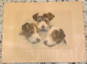 ヴィンテージ銅版画 Meyer Eberhardt 「3匹のテリア犬」 ヴィンテージ