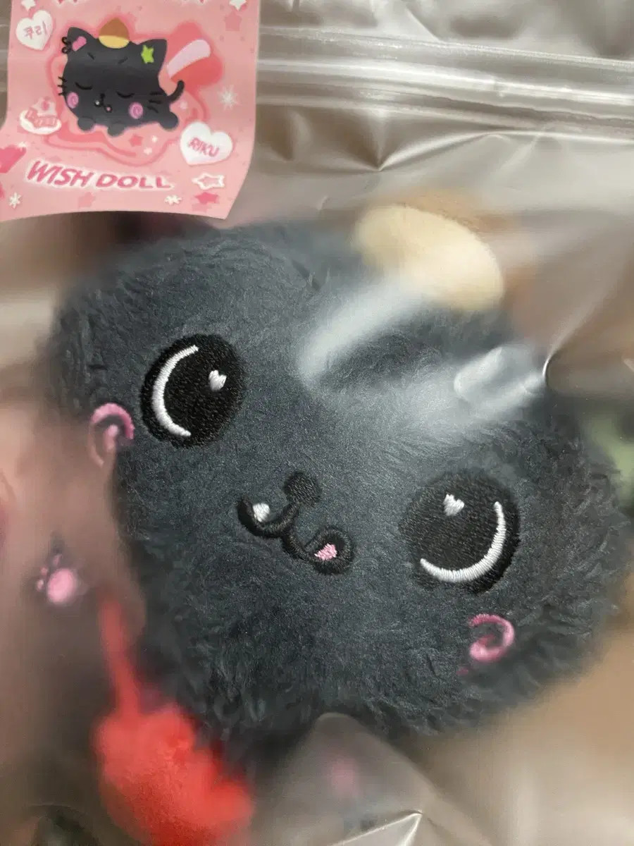 NCT WISH RIKU クリ ぬいぐるみ wishdoll nct Wish Wish Doll Kuri