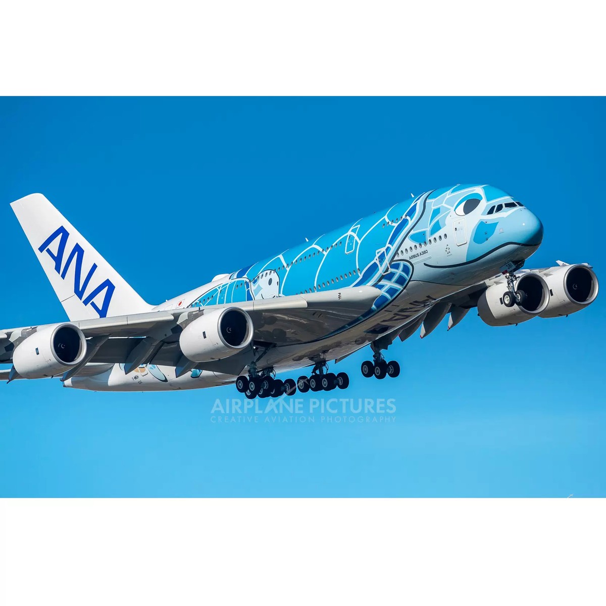 最終価格ANA エアバスA380 1/400 JA381A EW4388002 Aviation 1/400 ANA