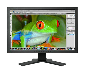 EIZO CG243W LCD Monitor for sale online | eBay