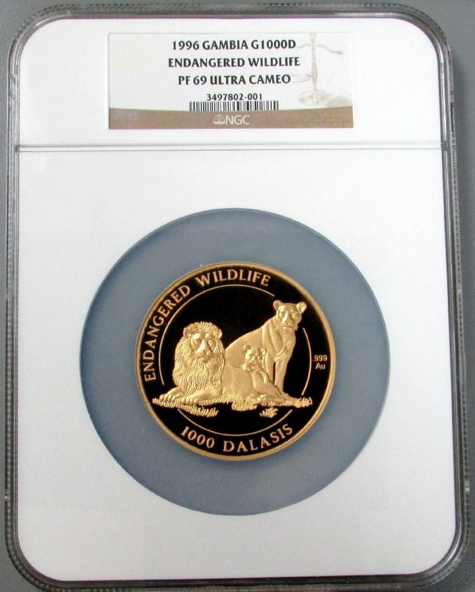 G*D様 純金9999 動物シルエット コレクション 護符｜G*D様 純金