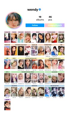 WENDY RED VELVET PHOTOCARD COMPILATION - OFFICIAL ALBUM CARD KPOP