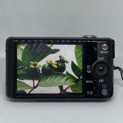 SONY Cyber-shot DSC-WX220 Compact Digital Camera 18.2MP 10 x