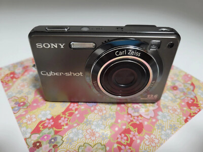 Sony Cyber-shot DSC-W300 13.6MP Digital Camera - Dark Graphite