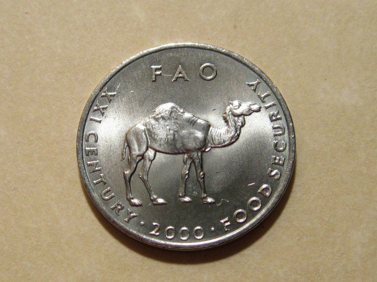 2000 Somalia CAMEL 10 S coin Animal nice nickel clad coins of