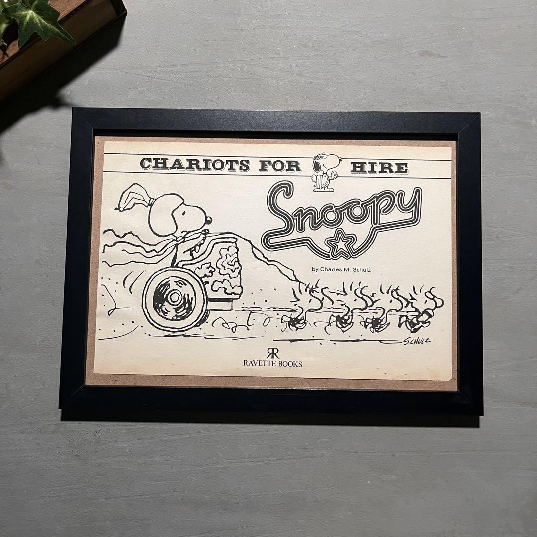 70'sヴィンテージポスタースヌーピーSTUPID BIRDS ヒッピー