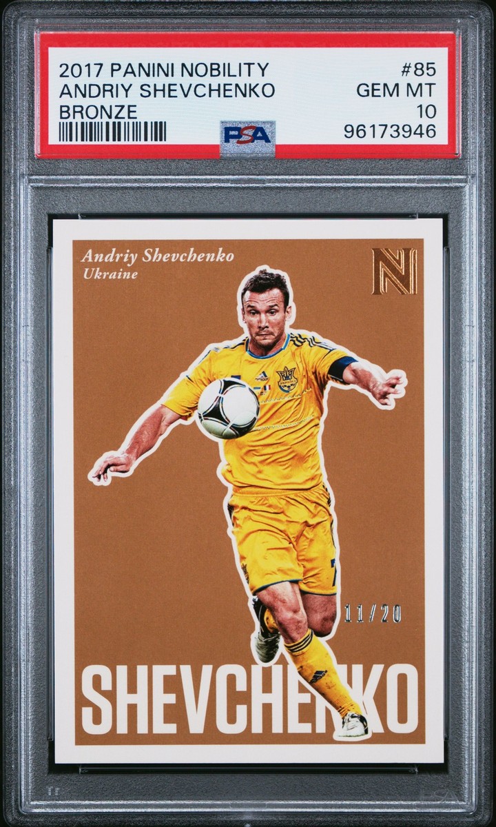 PANINI NOBILITY SOCCERオーウェン 直書サイン PANINI NOBILITY SOCCER