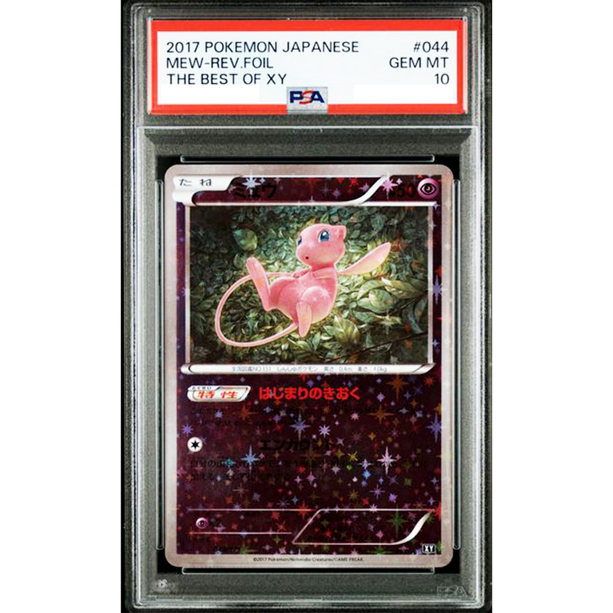 PSA10 2016 Pokmon XY Mew ミュウ ホロ ポケモンカード PSA10 XY 0