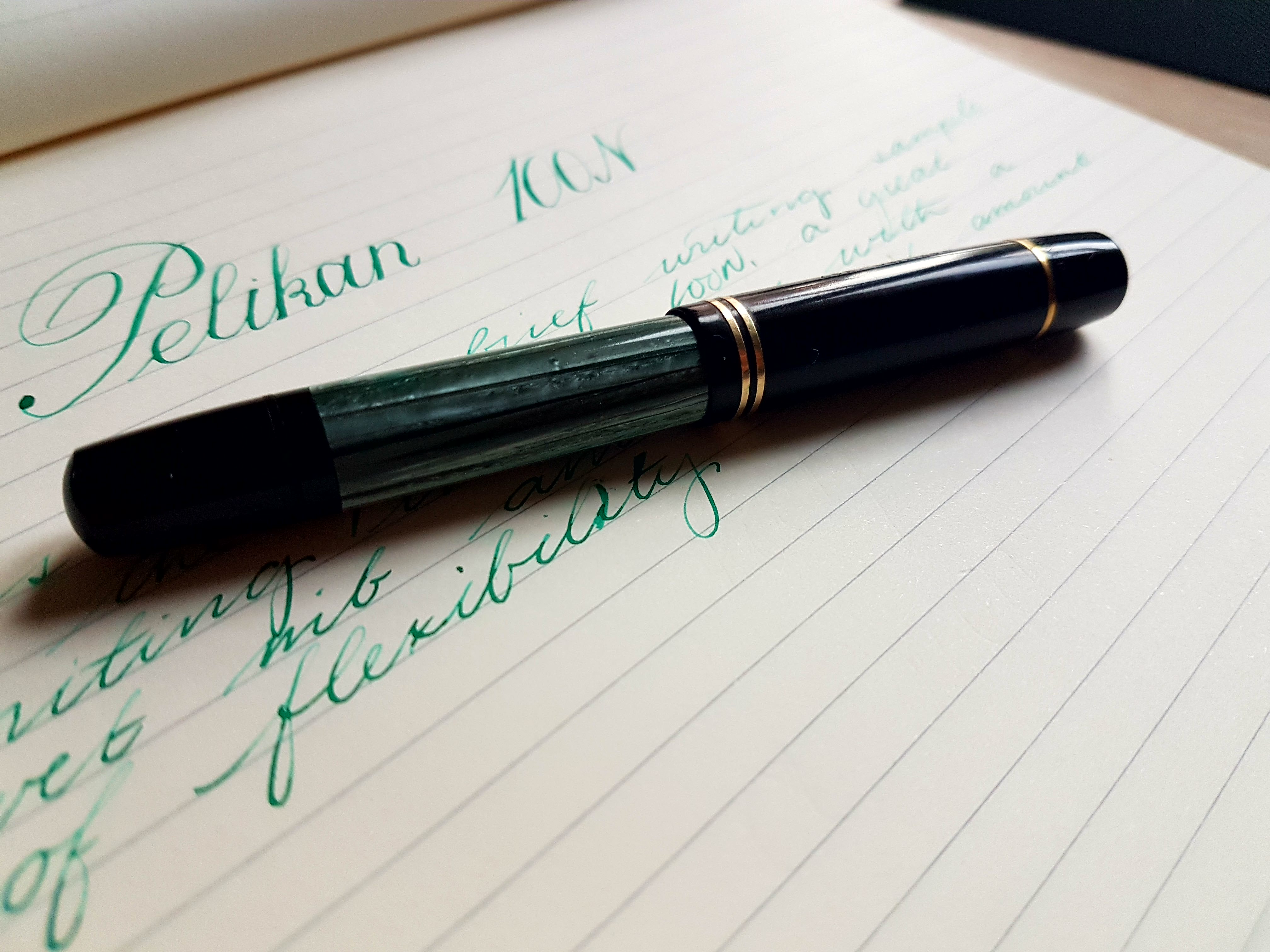 Pelikan 100N - A Highly Biased Review - Fountain Pen Reviews - The