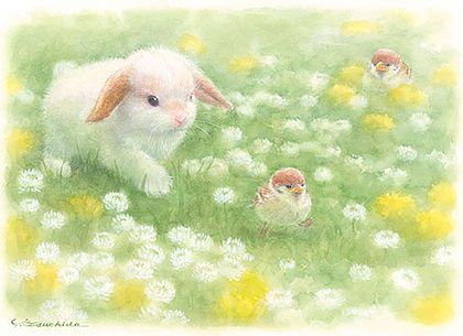 土田穣 つちだゆたか「お気に入りの野原」 土田穣 つちだゆたか お気に入り