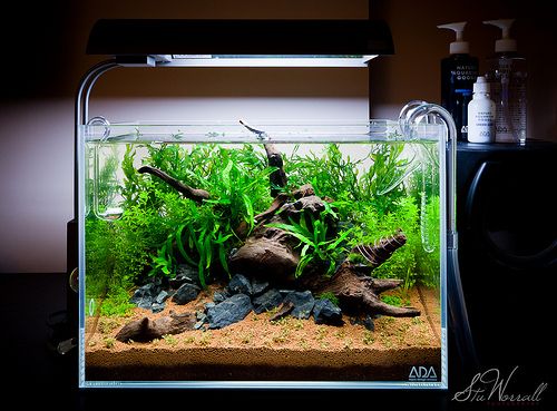 ADAソーラーミニM ブラック