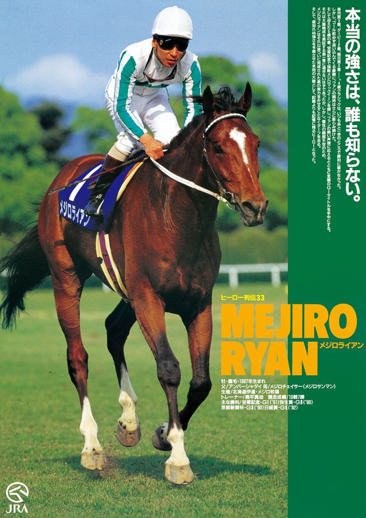 JRA ヒーロー列伝 No.46 スペシャルウィーク JRA ヒーロー列伝 No.46