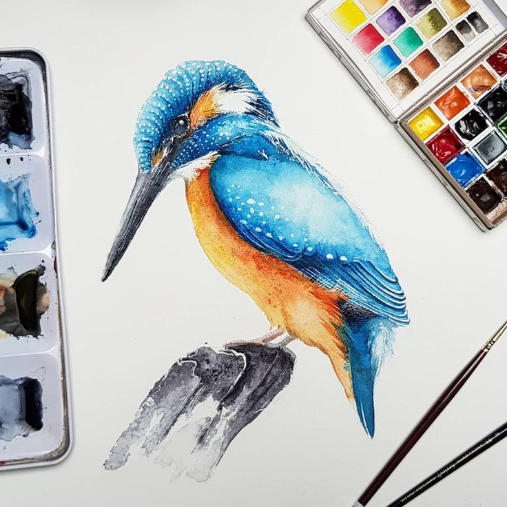 絵画J・HOOK KINGFISHER IN AN EXOTTC GARDEN 絵画J・HOOK KINGFISHER